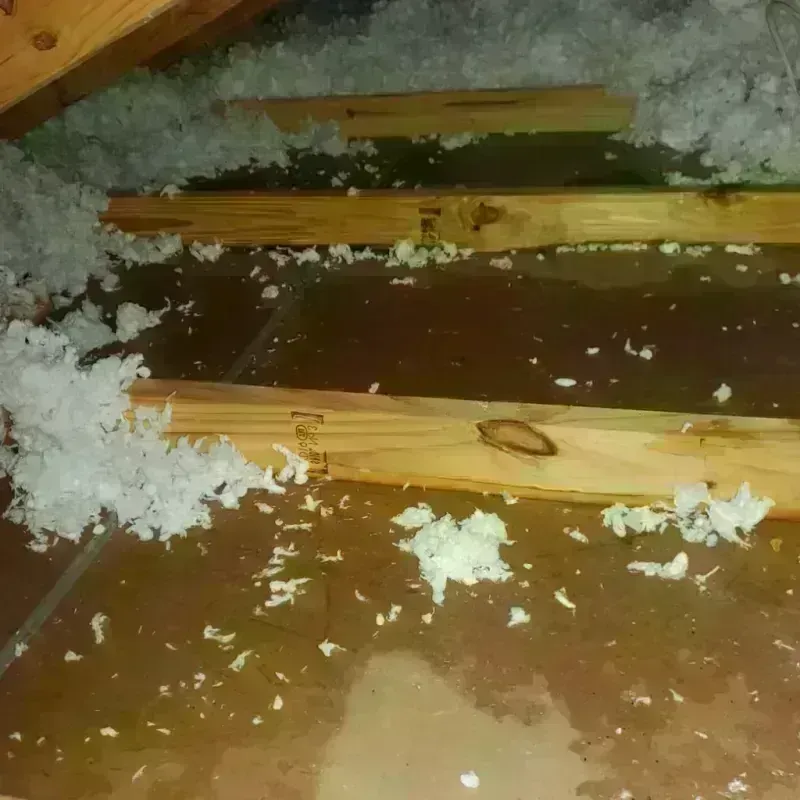 Attic Water Damage in Canadian County, OK