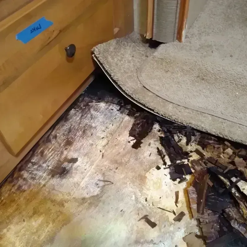 Wood Floor Water Damage in Canadian County, OK